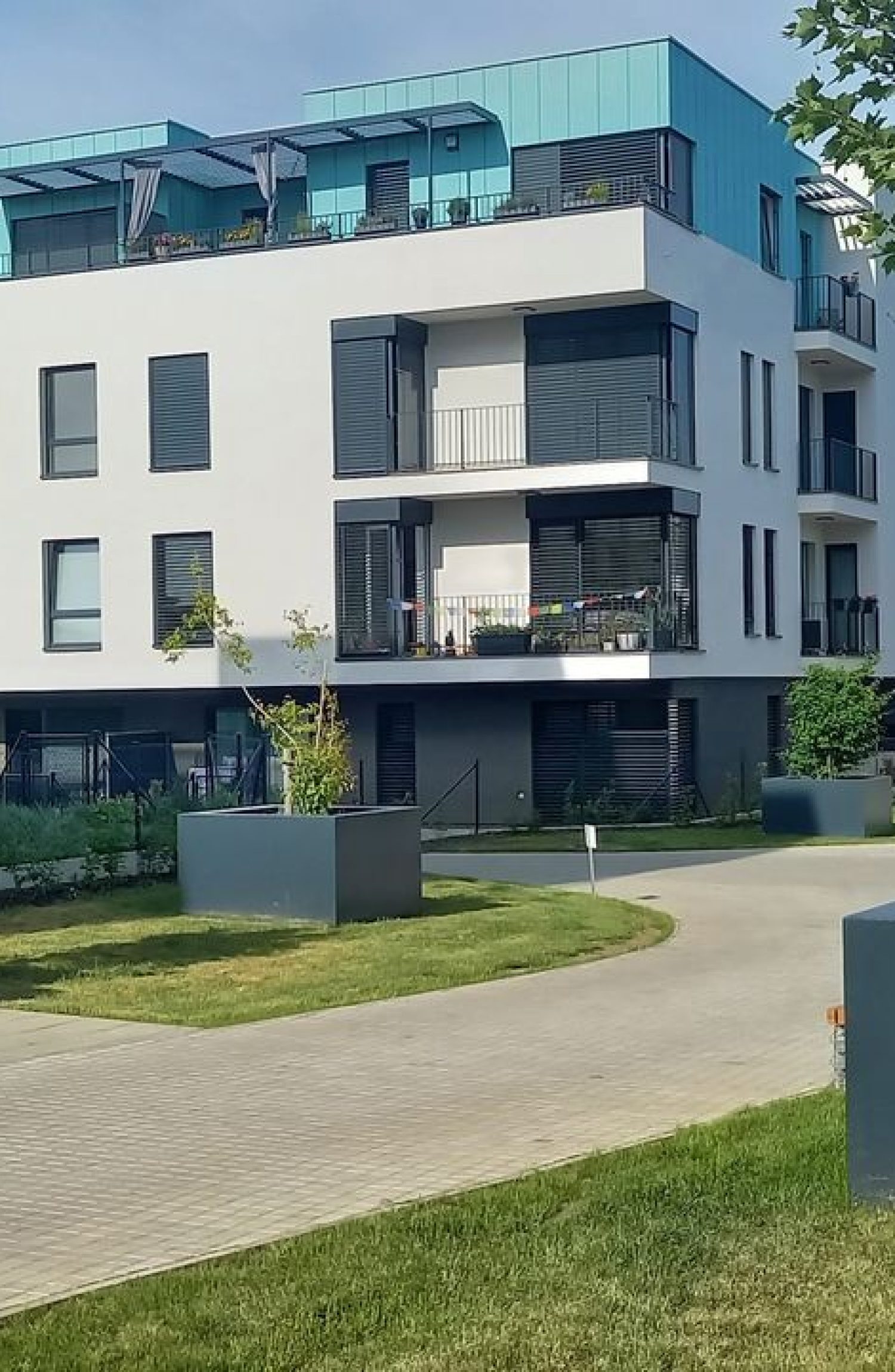 pronájem 4kk, Lederova